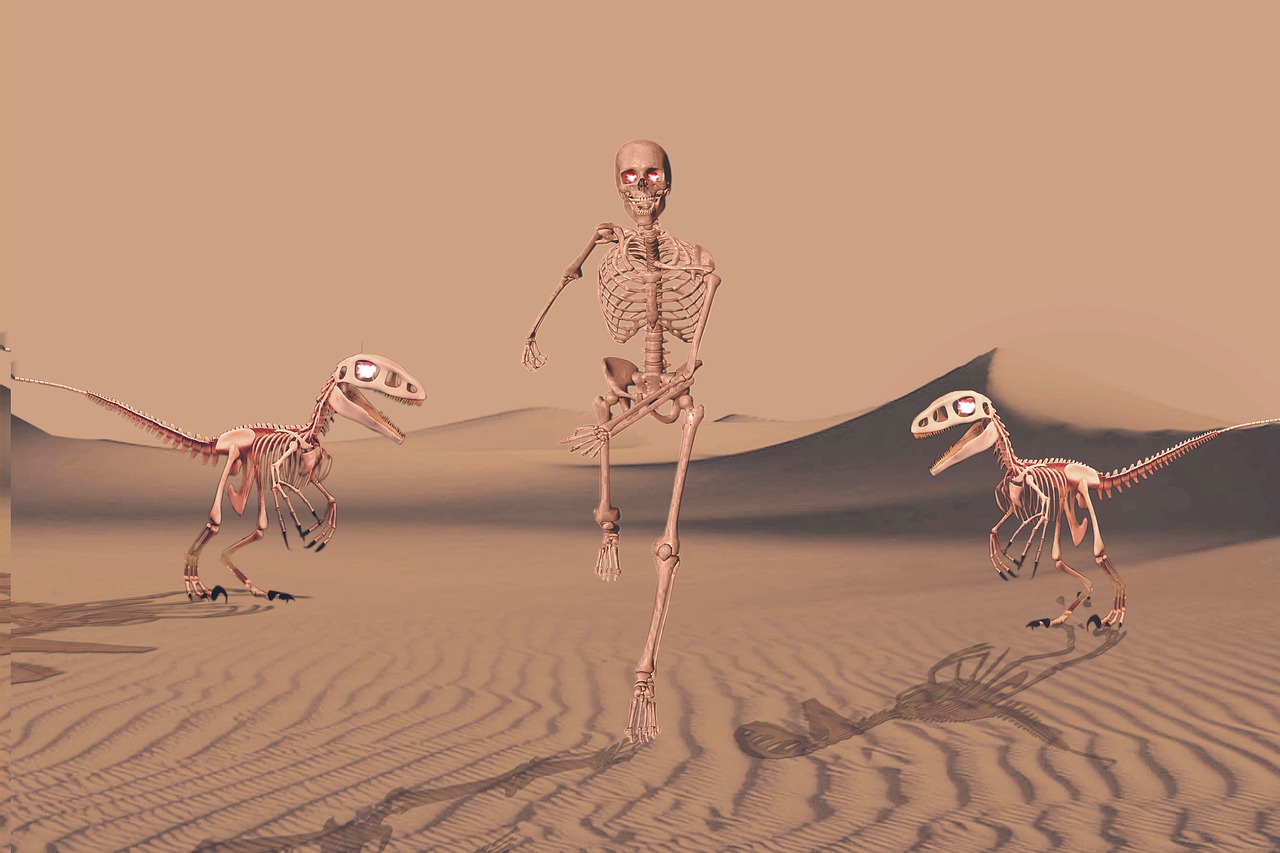 skeleton  desert  sand free photo