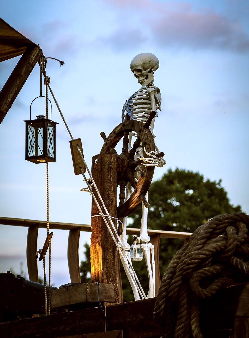 skeleton  starboard  ship free photo