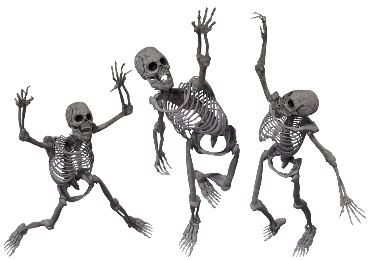 skeleton  skeletal  bones free photo