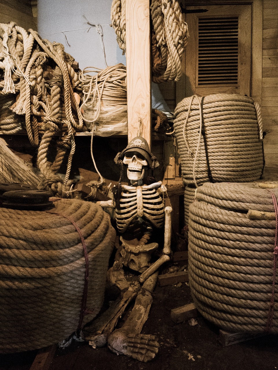 skeleton  skull  pirate free photo