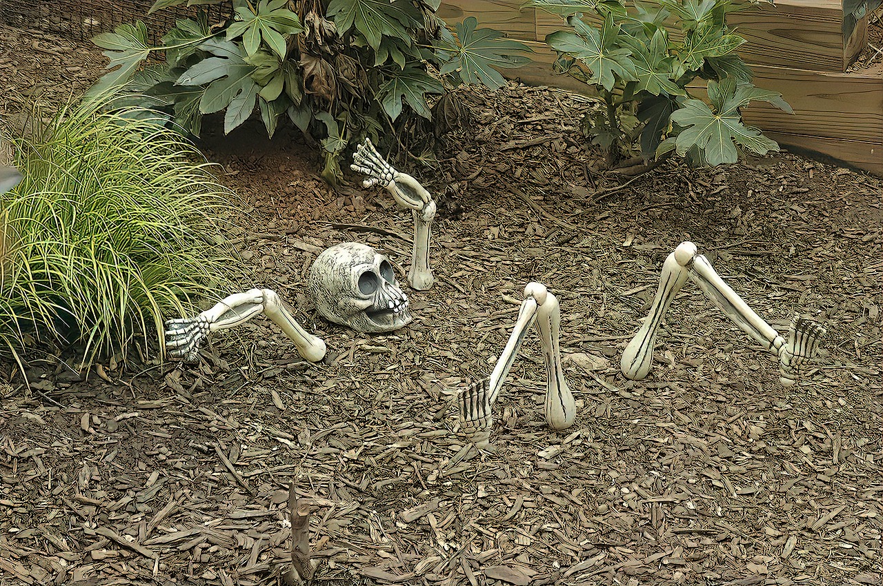 skeleton  horror  grave free photo