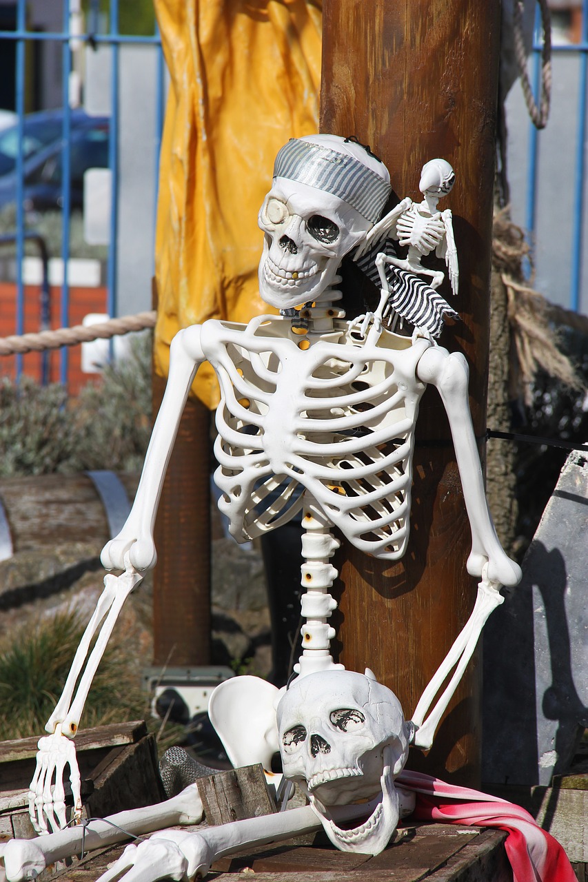 skeleton  bones  skull free photo