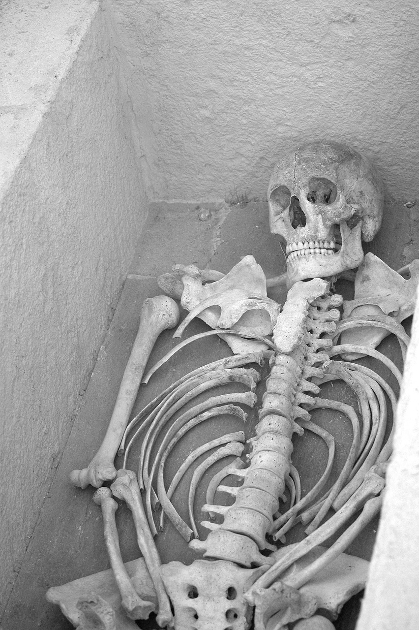 skeleton grave archaeological site free photo