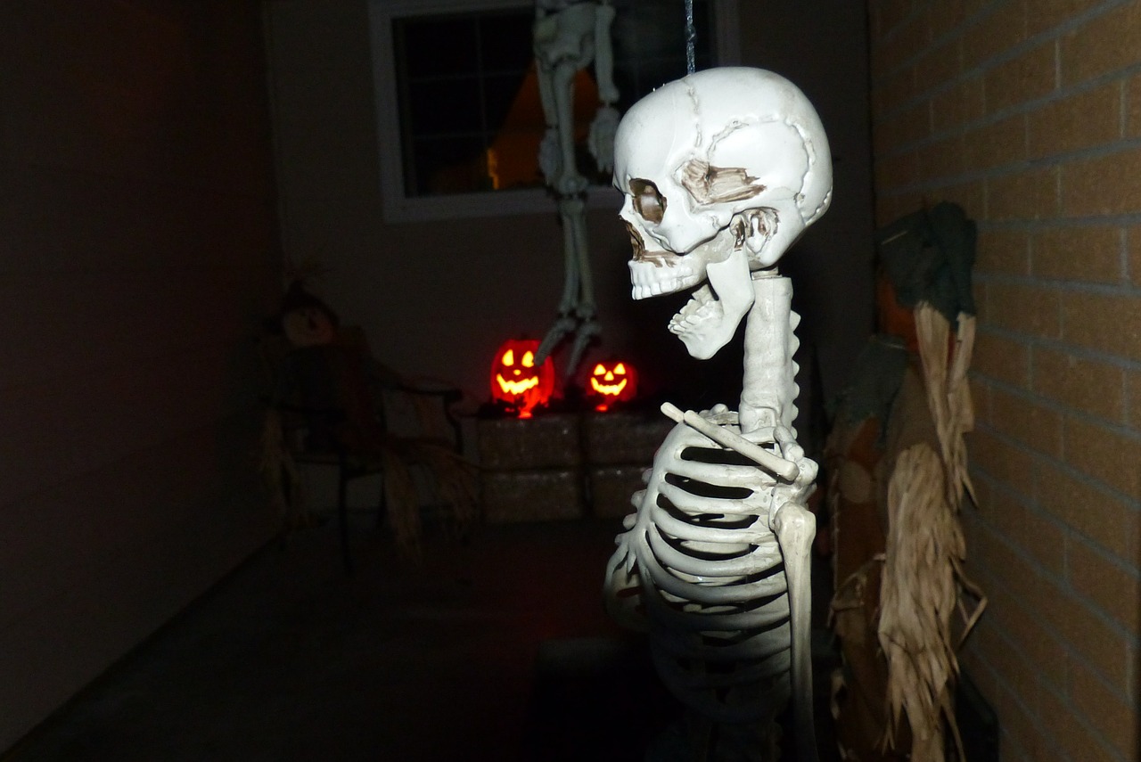 skeleton halloween spooky free photo