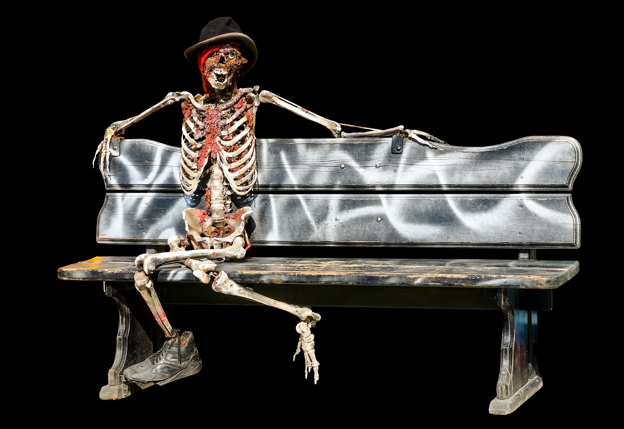 skeleton helloween creepy free photo