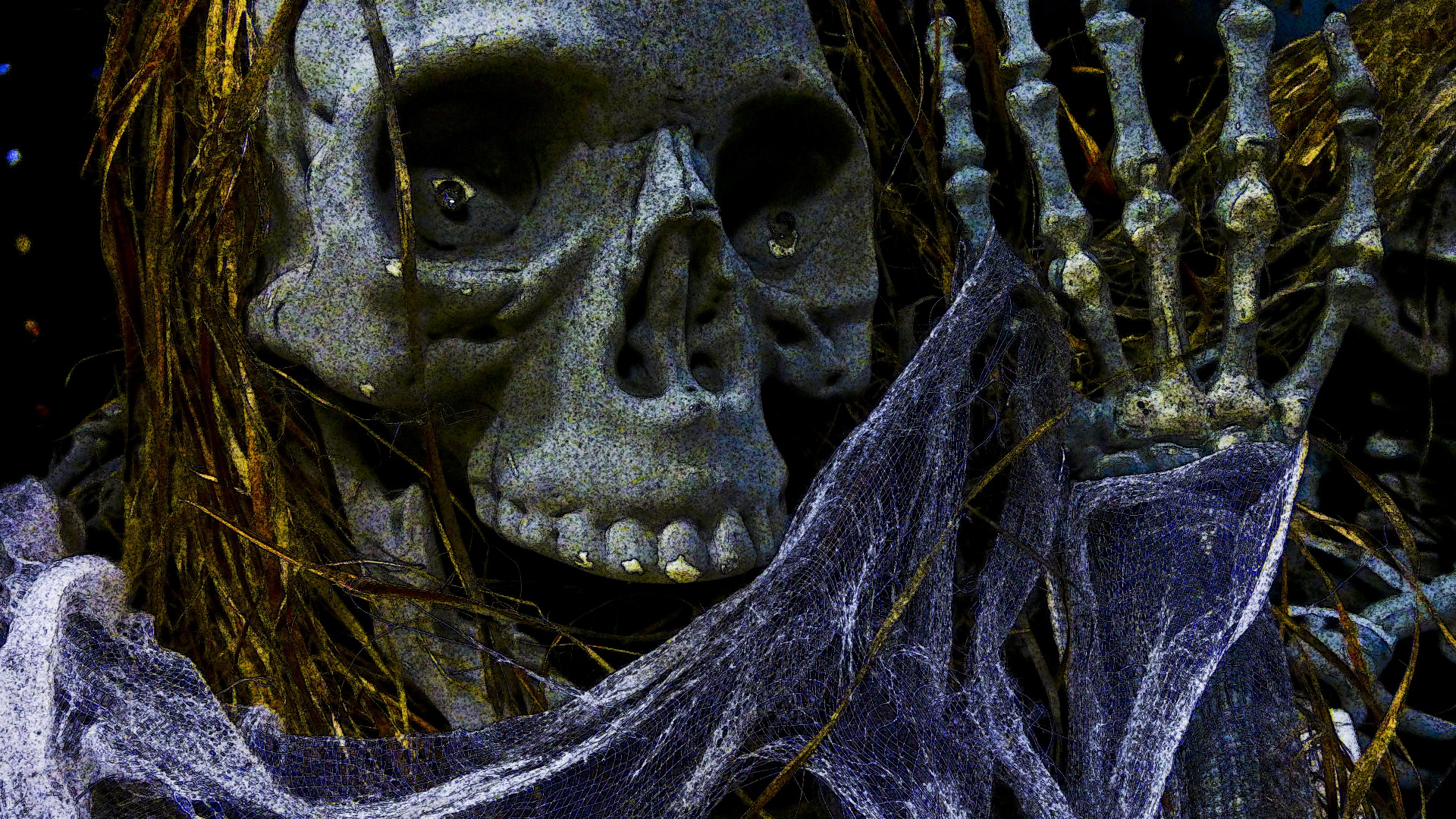 skeleton halloween face free photo