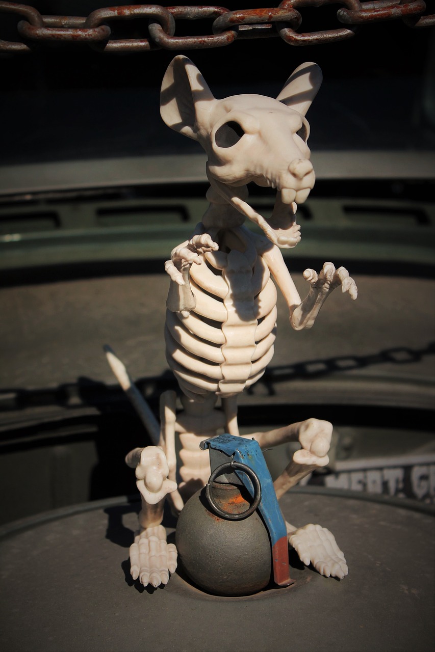 skeleton rat grenade insane free photo