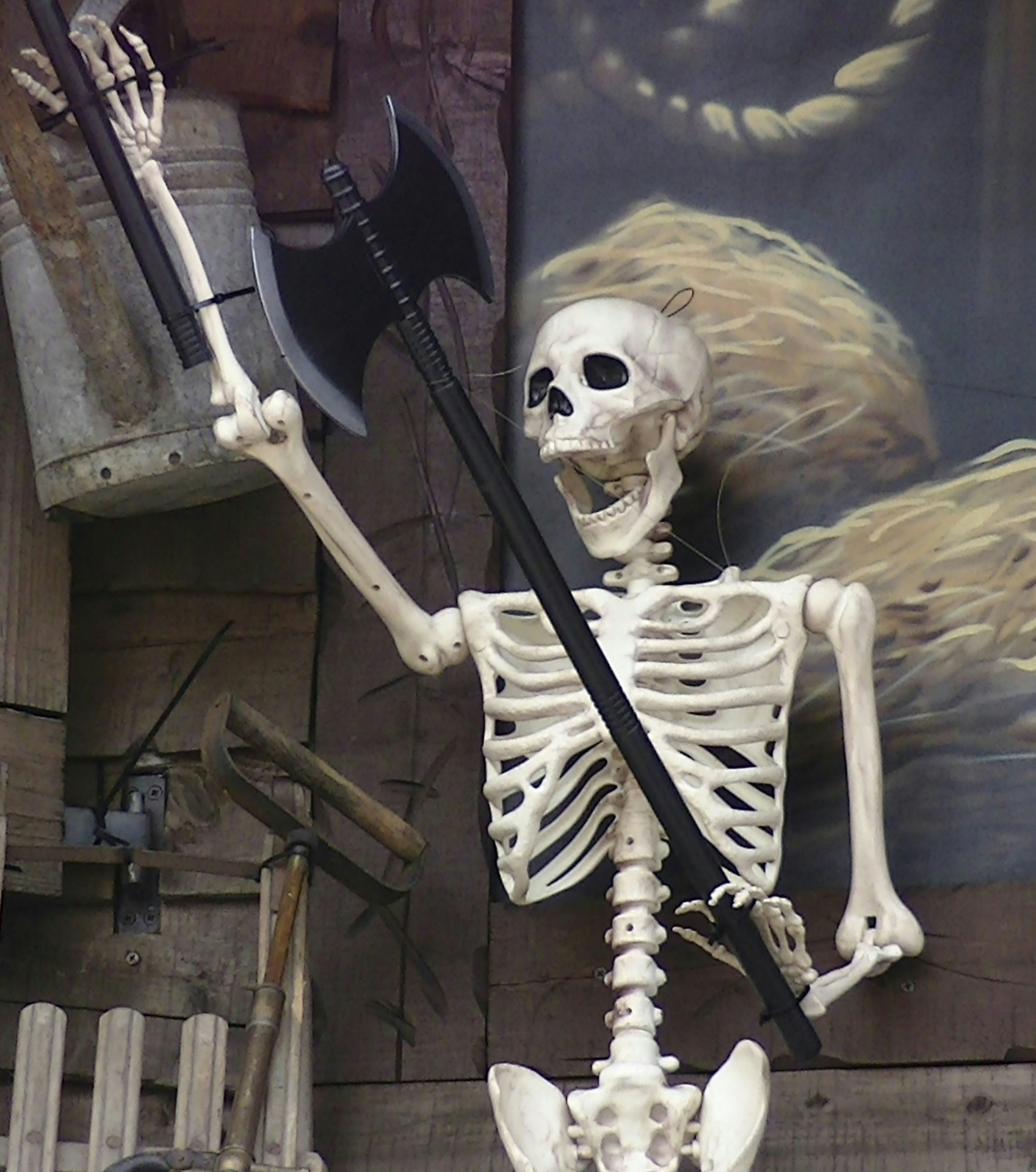 scary skeleton skeletons free photo
