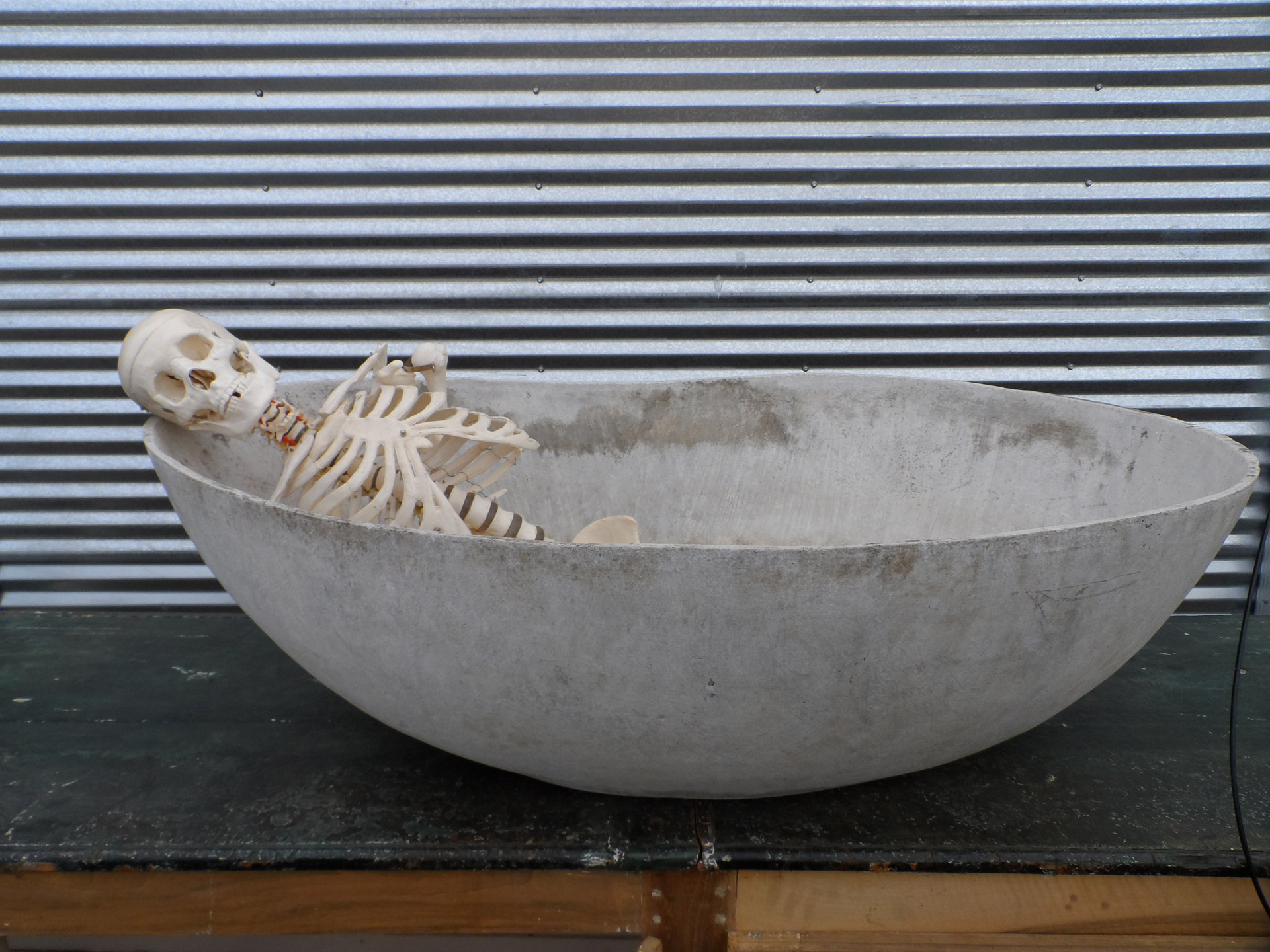 skeleton sleeping bathing free photo