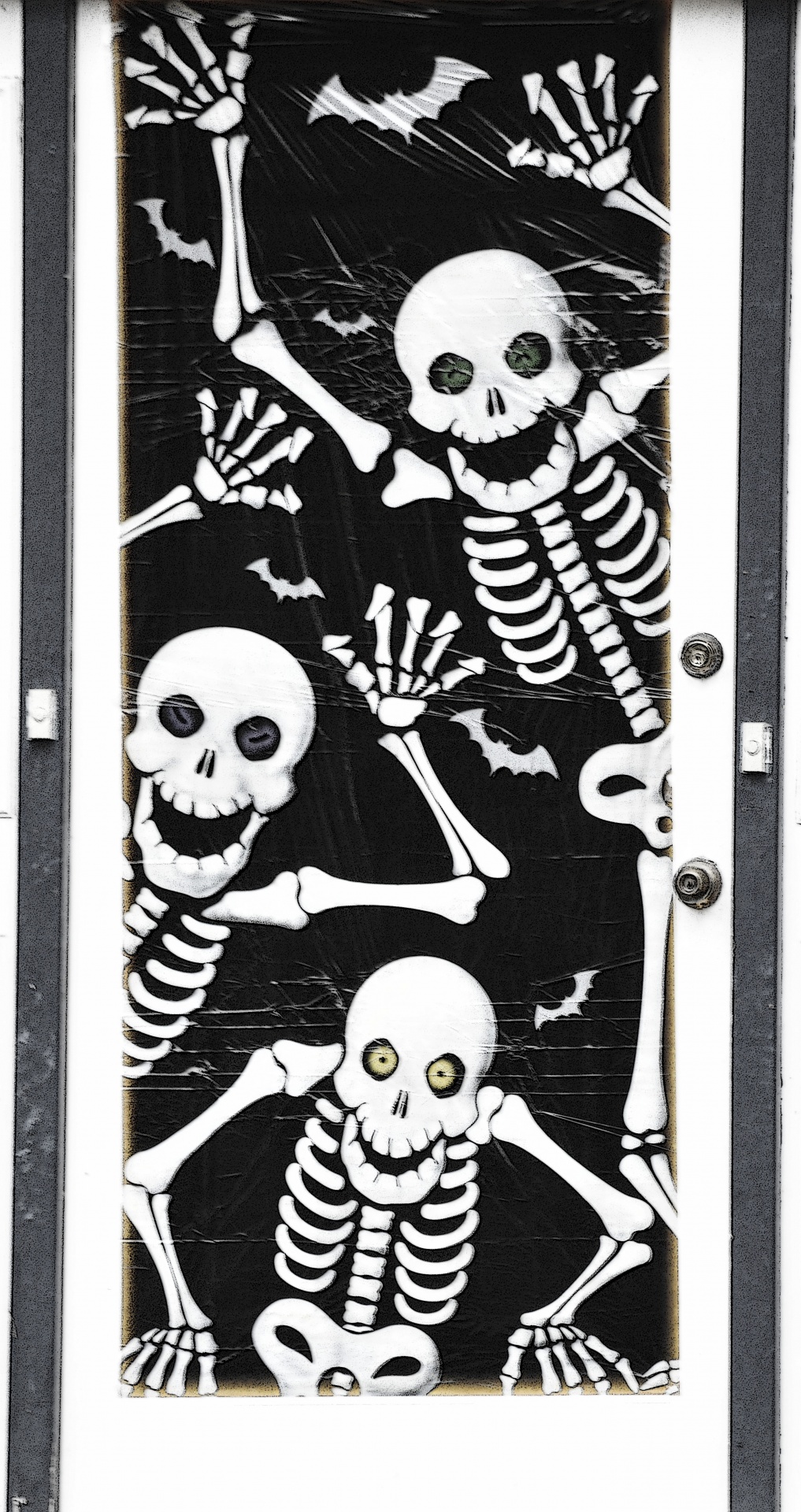 halloween skeleton skeletons free photo
