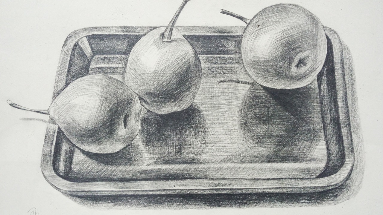 sketch apple dish free photo