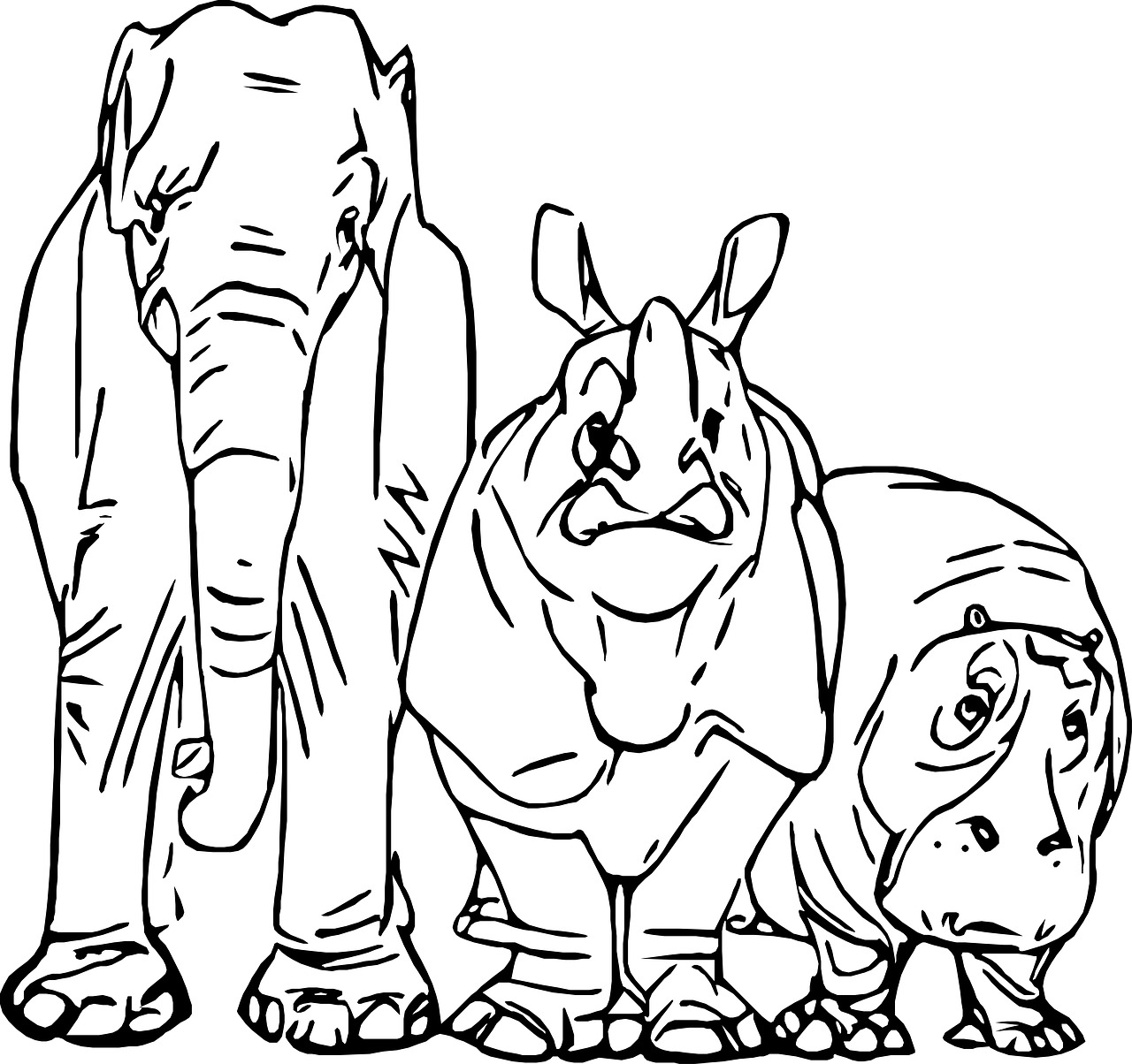 sketch drawing elephant free photo