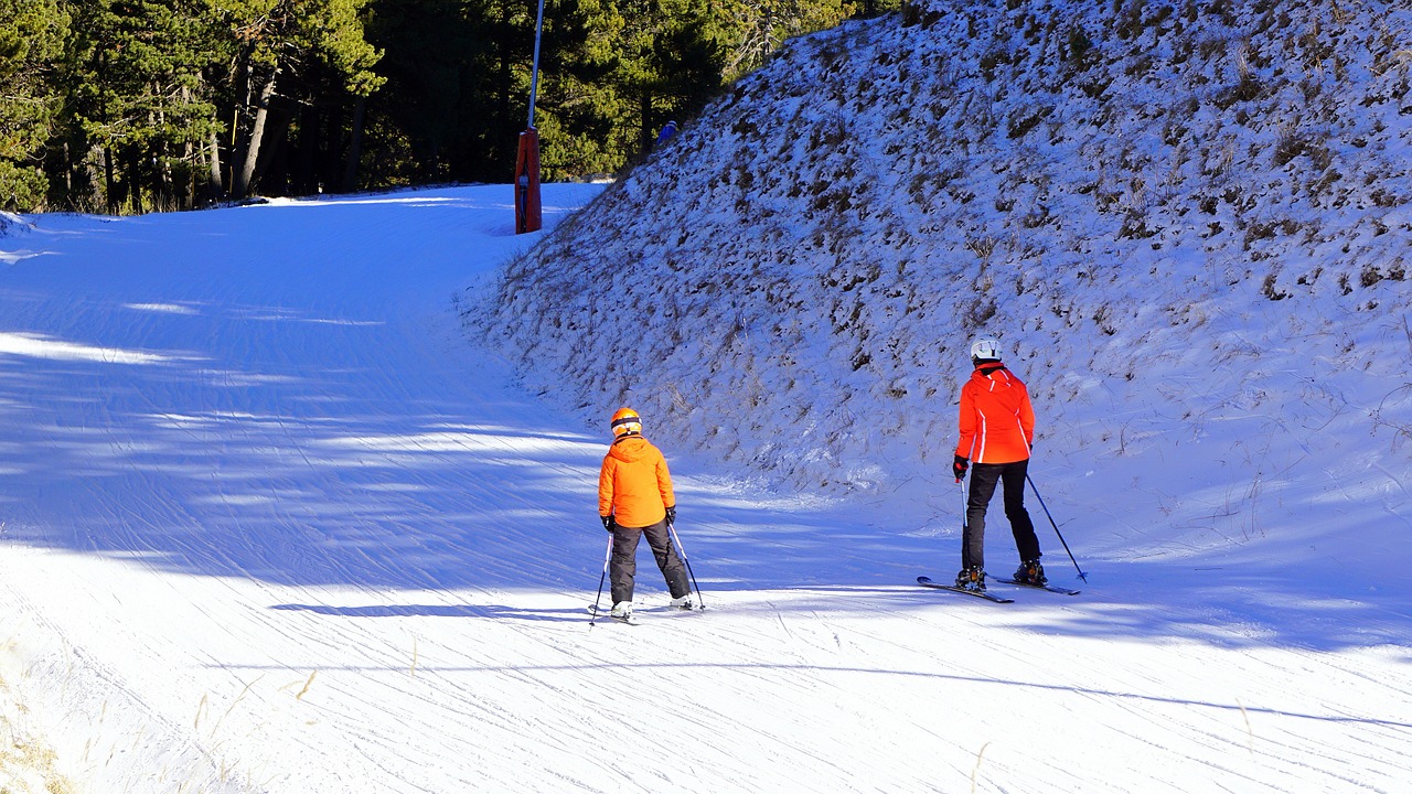 ski winter sports skiers free photo