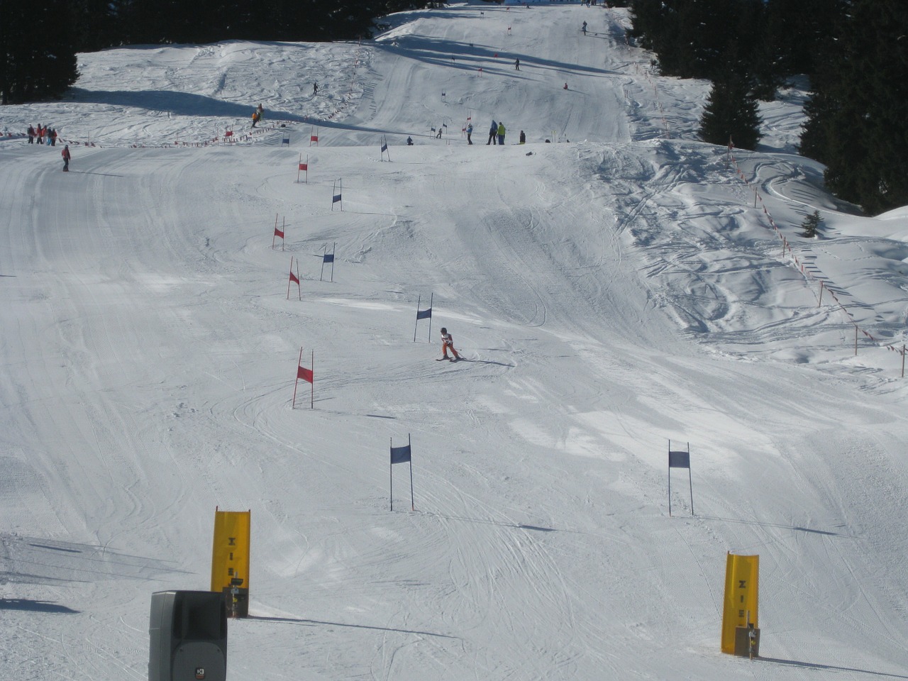 ski race sports free photo