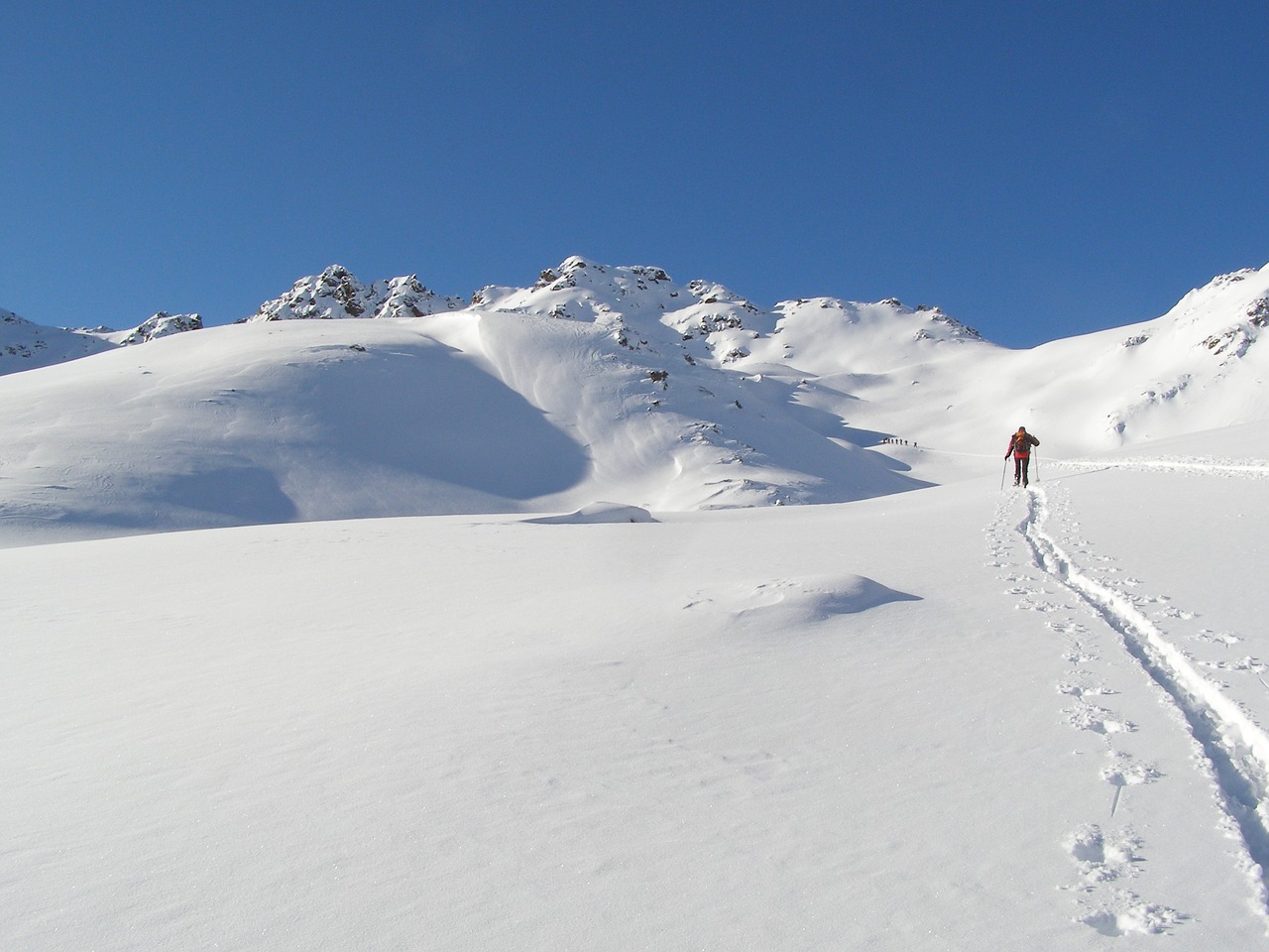 ski backcountry skiiing alpine free photo