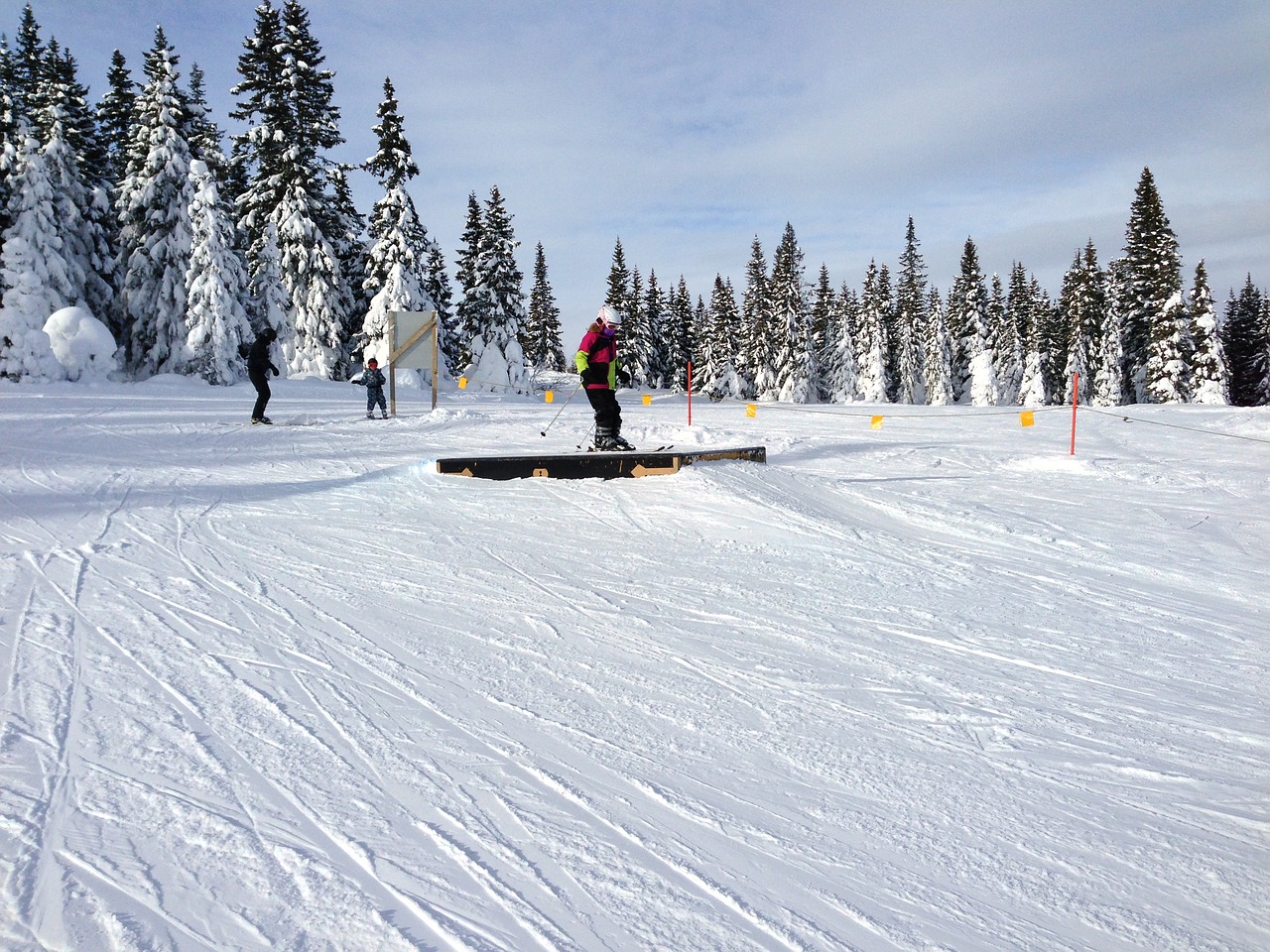 ski  winter  children free photo