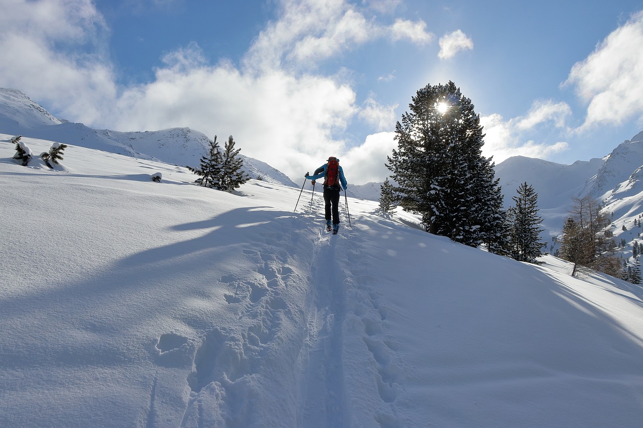 ski  winter  sun free photo