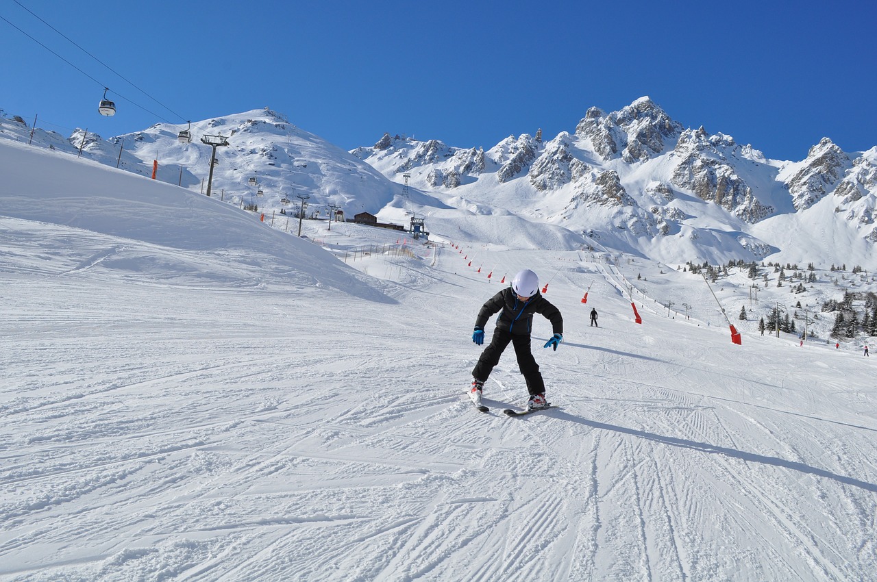 ski  winter sports  winter free photo