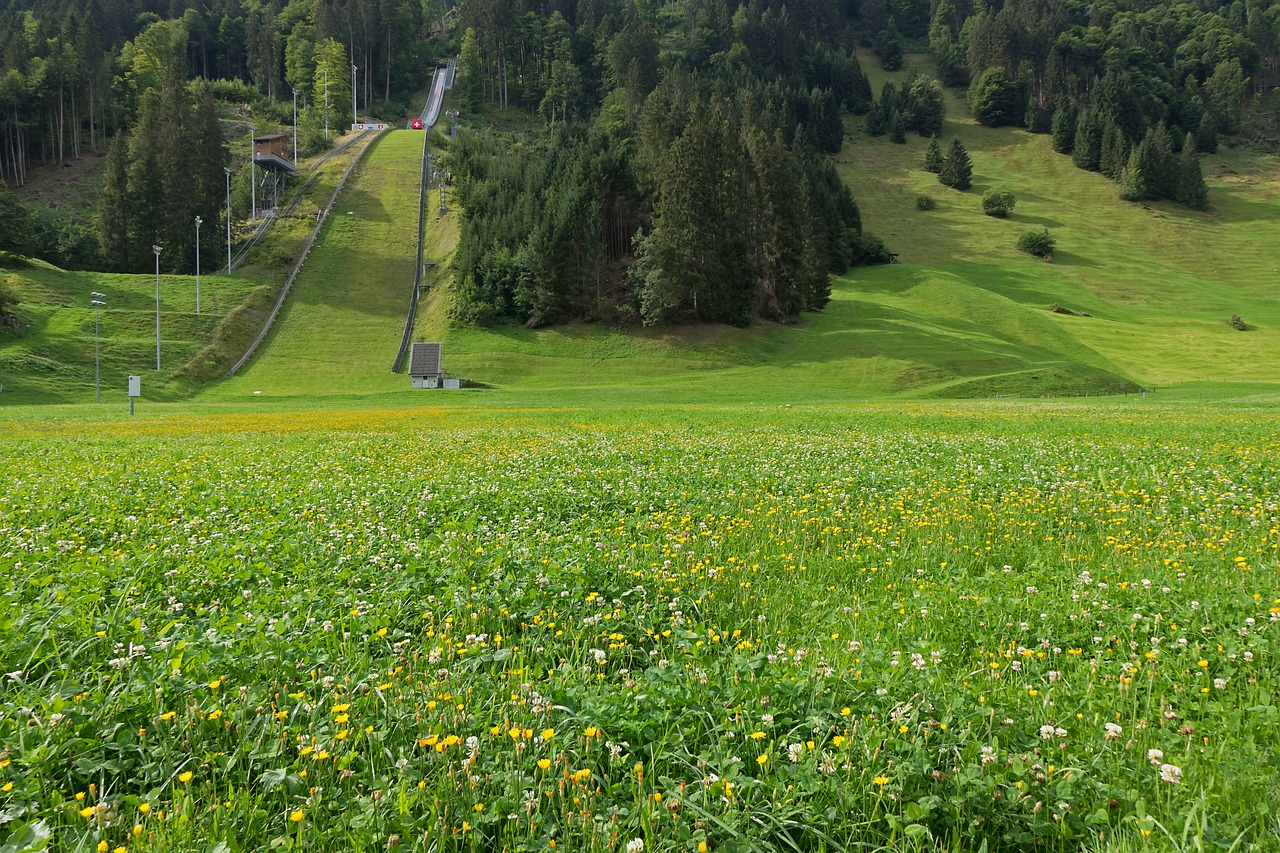 ski jump  hill  ski jumping free photo