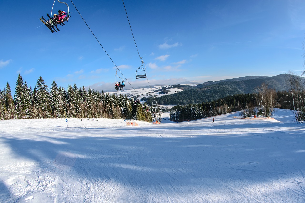 ski lift skis skiers free photo