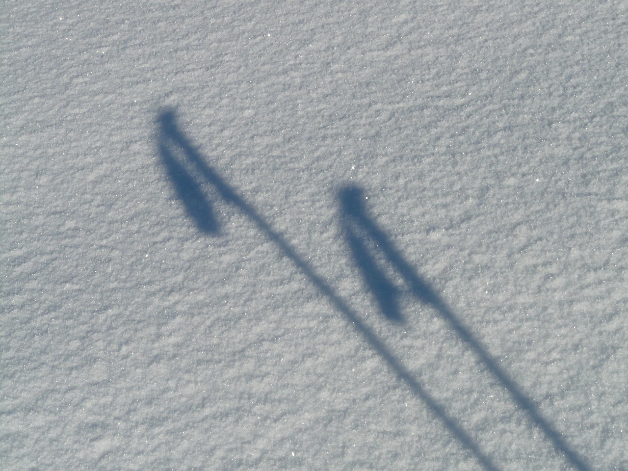 ski poles shadow image free photo