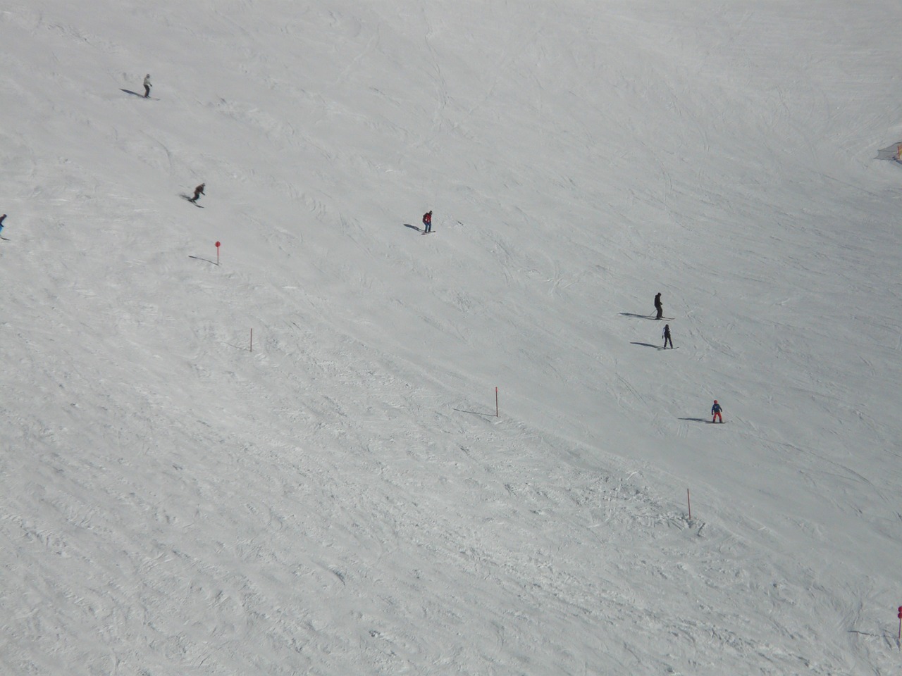ski run skiers winter free photo
