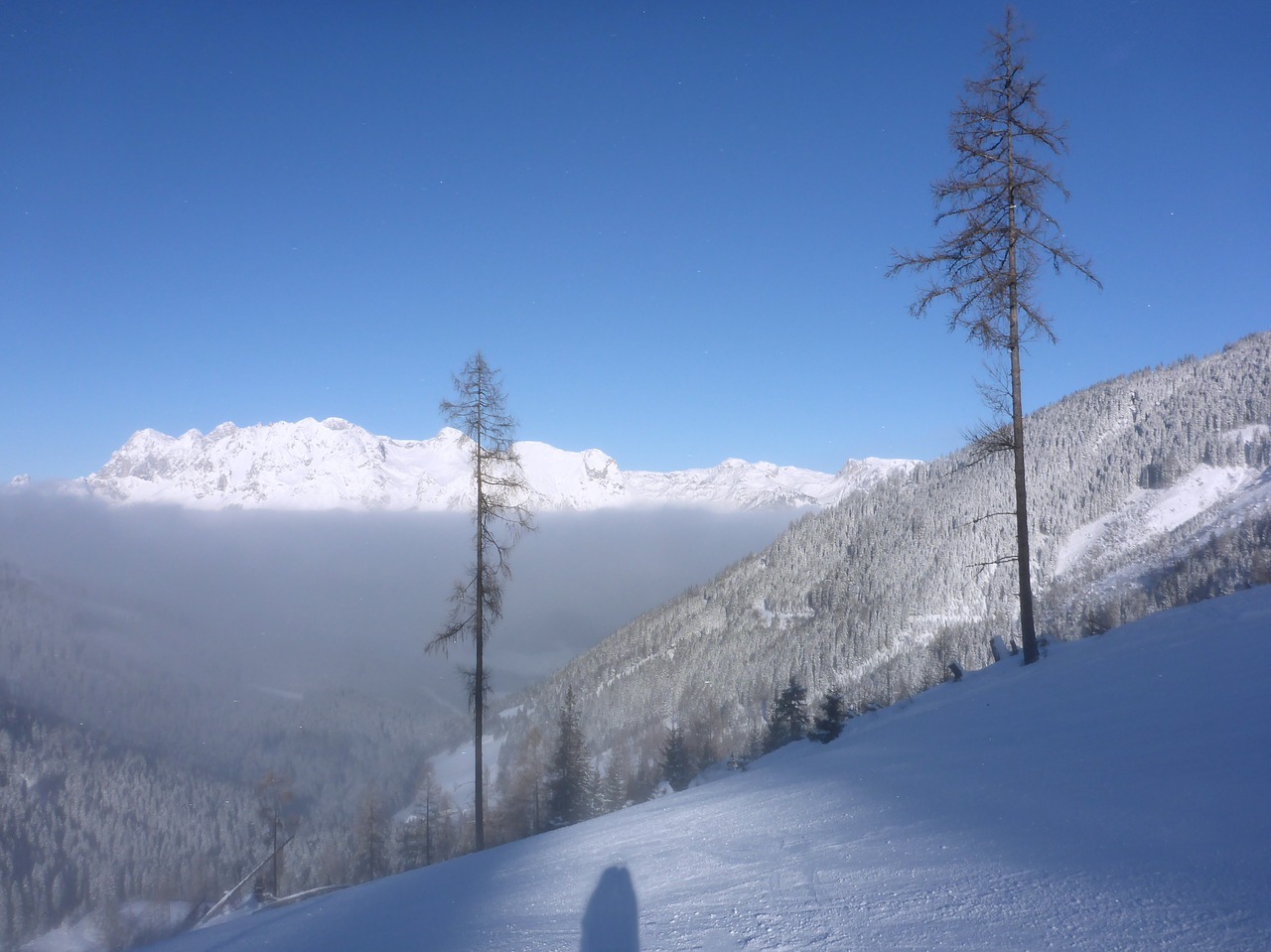 ski run fog above the clouds free photo