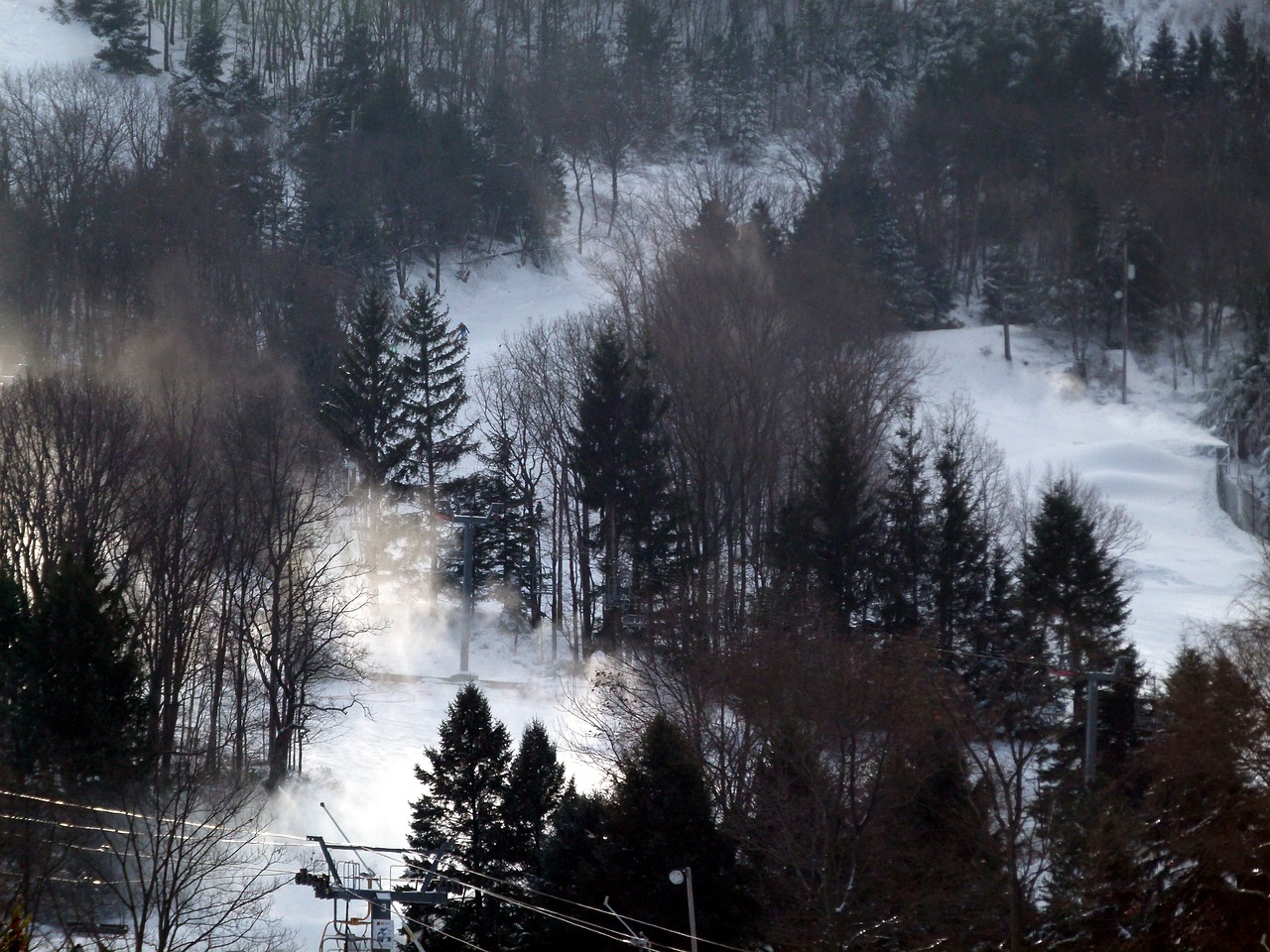 ski slope snow trees free photo