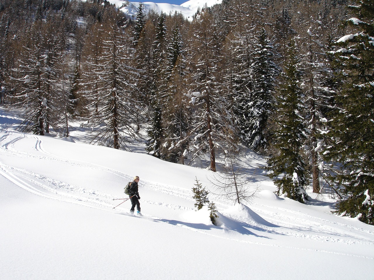 backcountry skiiing ski mountaineering ski touring free photo