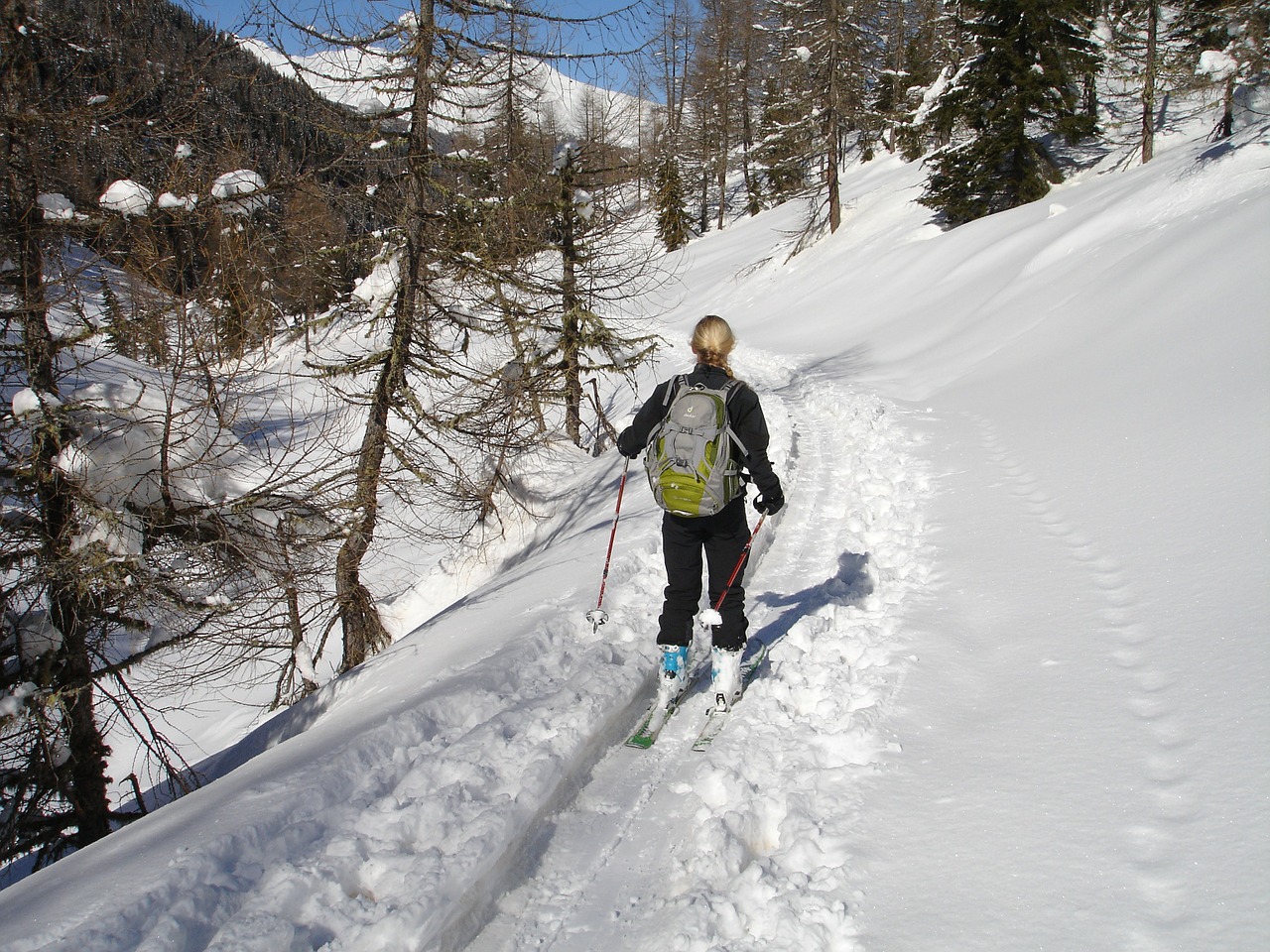 backcountry skiiing ski mountaineering ski touring free photo