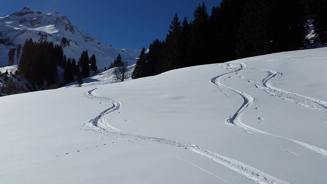 ski track backcountry skiiing ski free photo