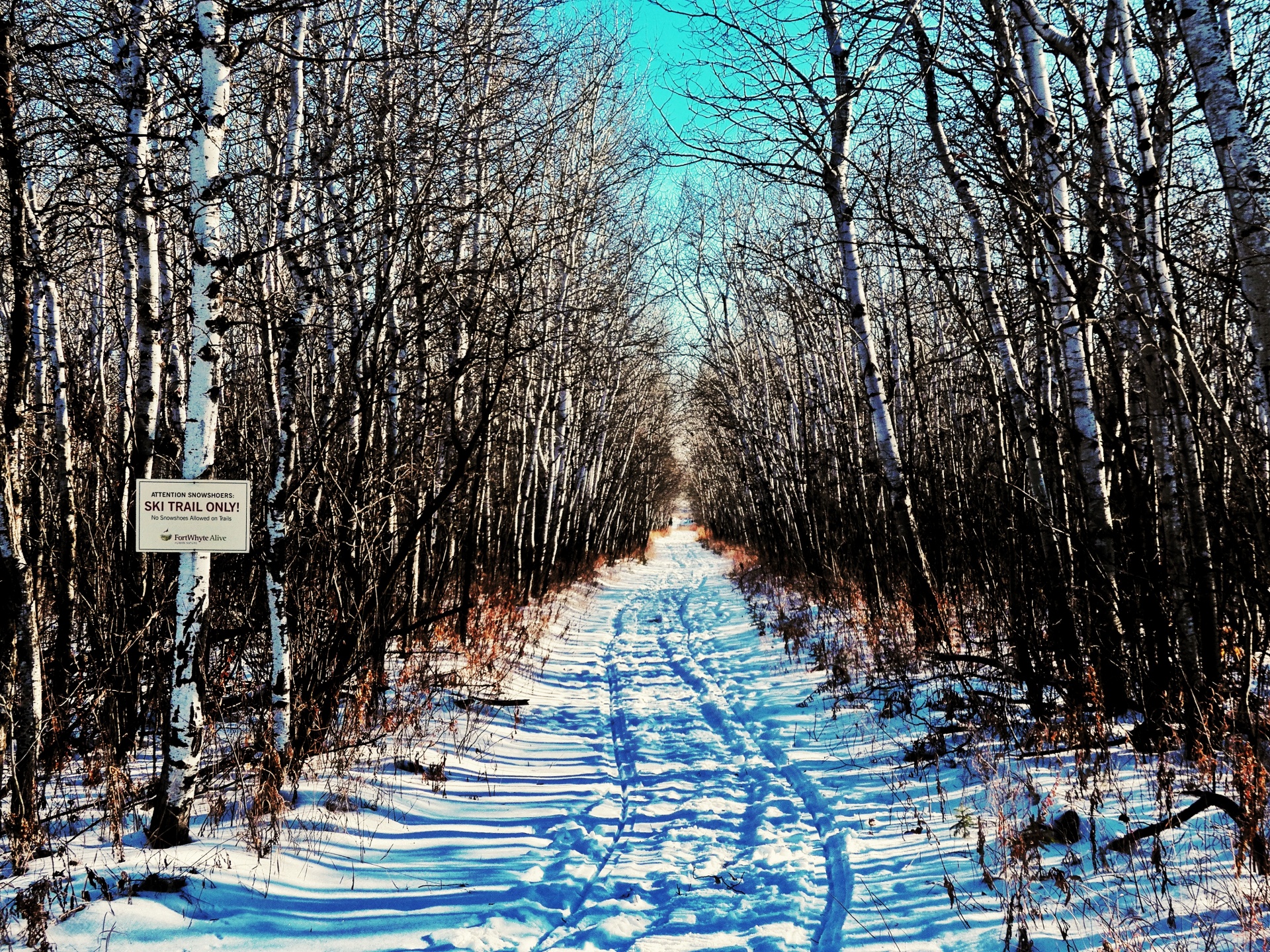 ski trail sign free photo