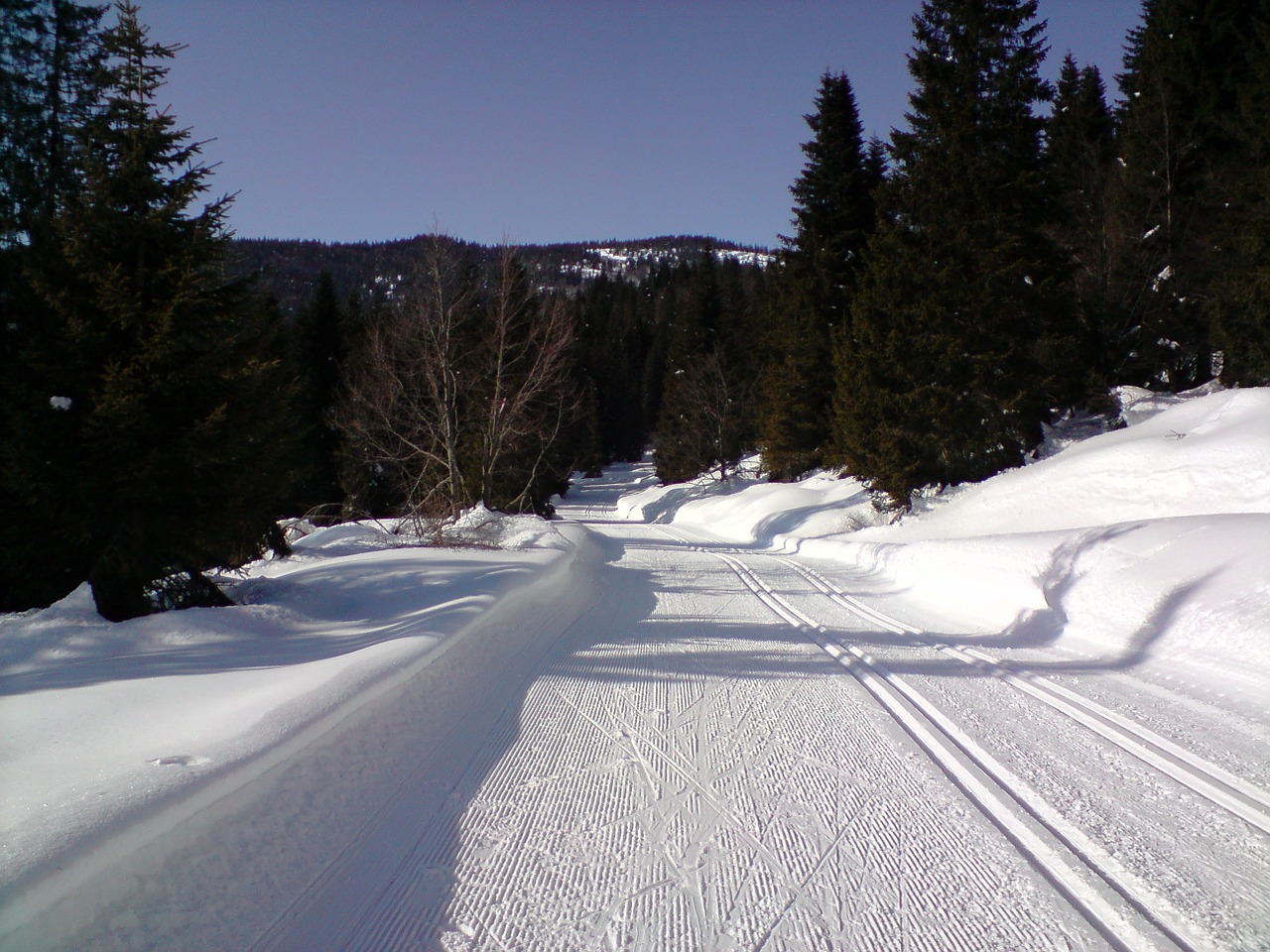 ski trails cross country skiing cross-country ski trail free photo