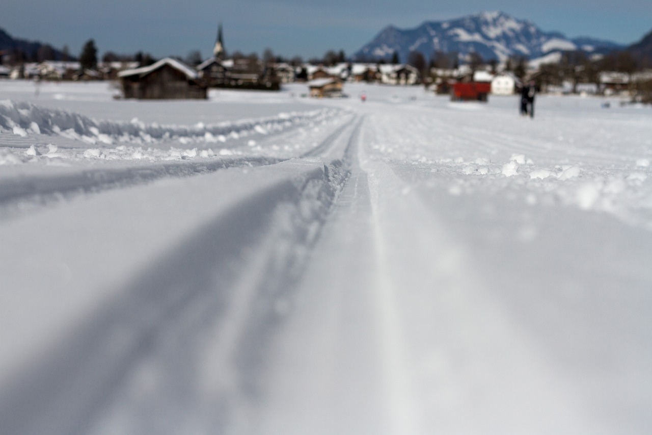 ski trails cross country skiing winter free photo