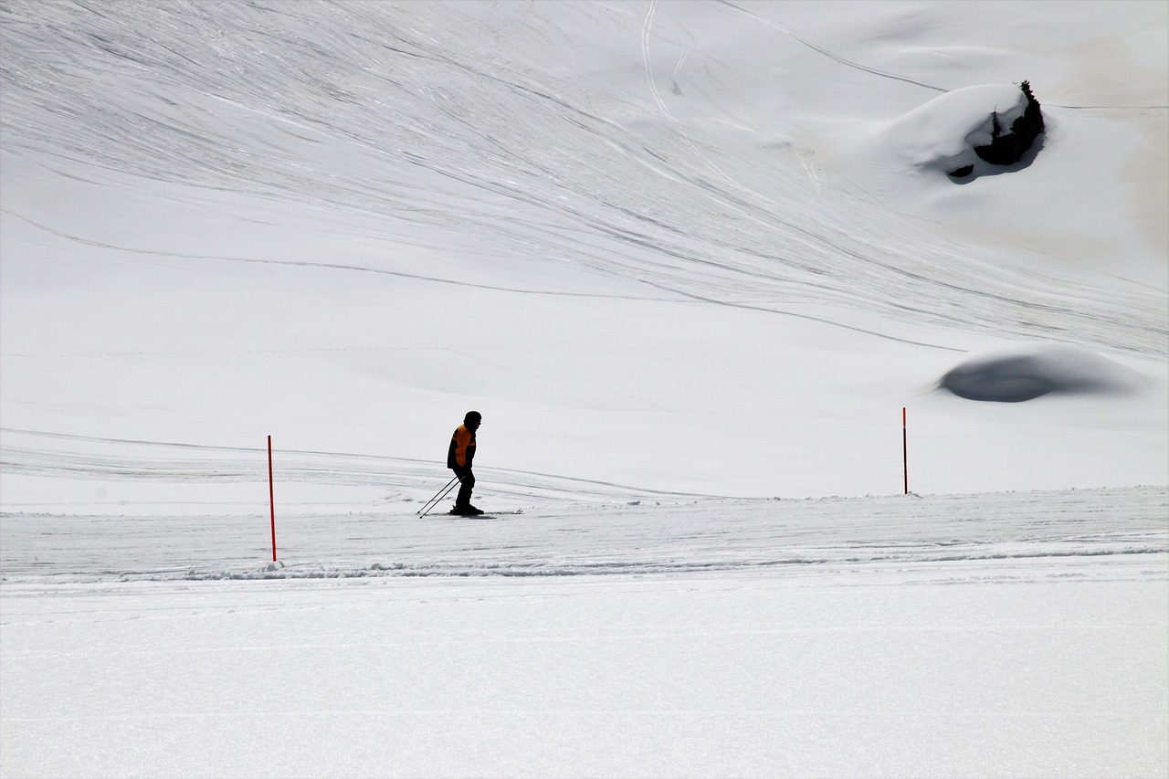 skier  zermatt  the alps free photo