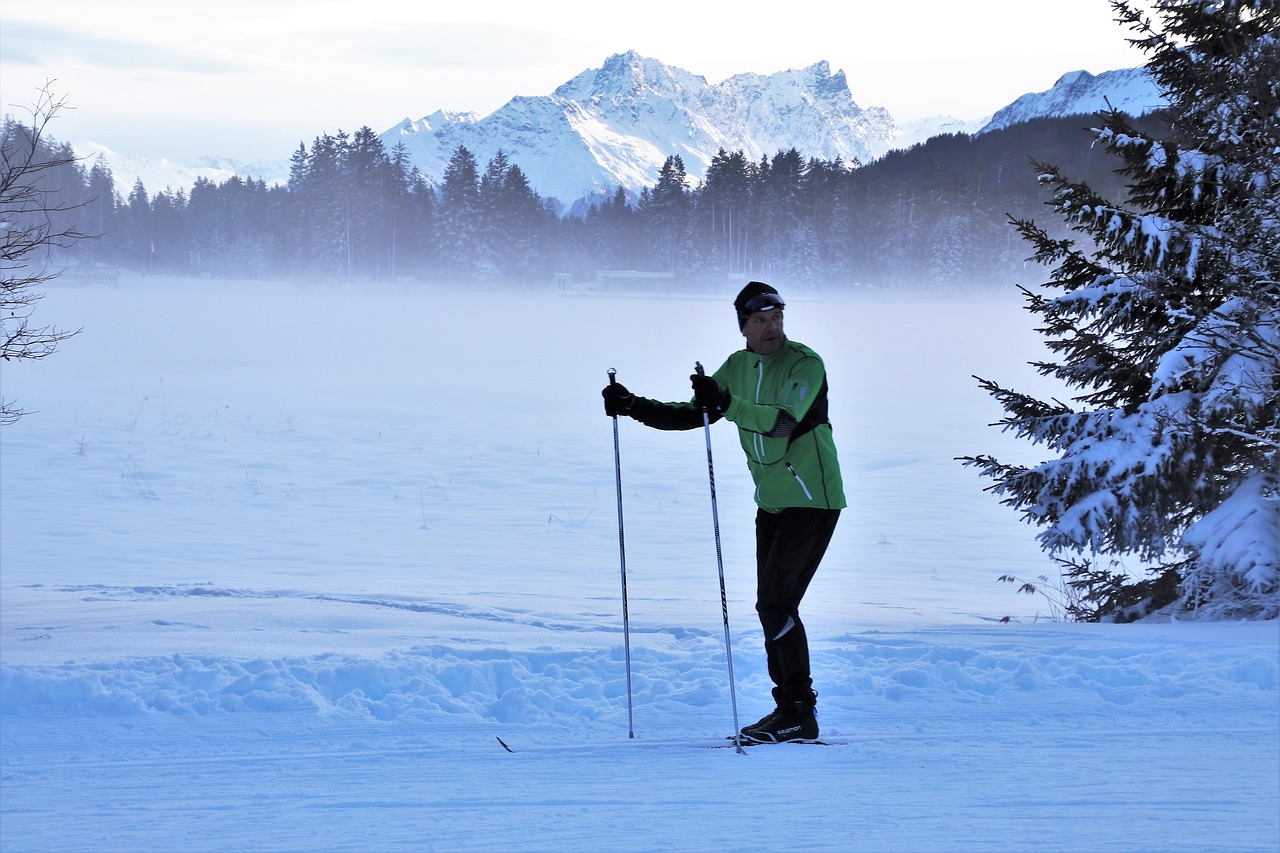 skier  icy  alpine free photo