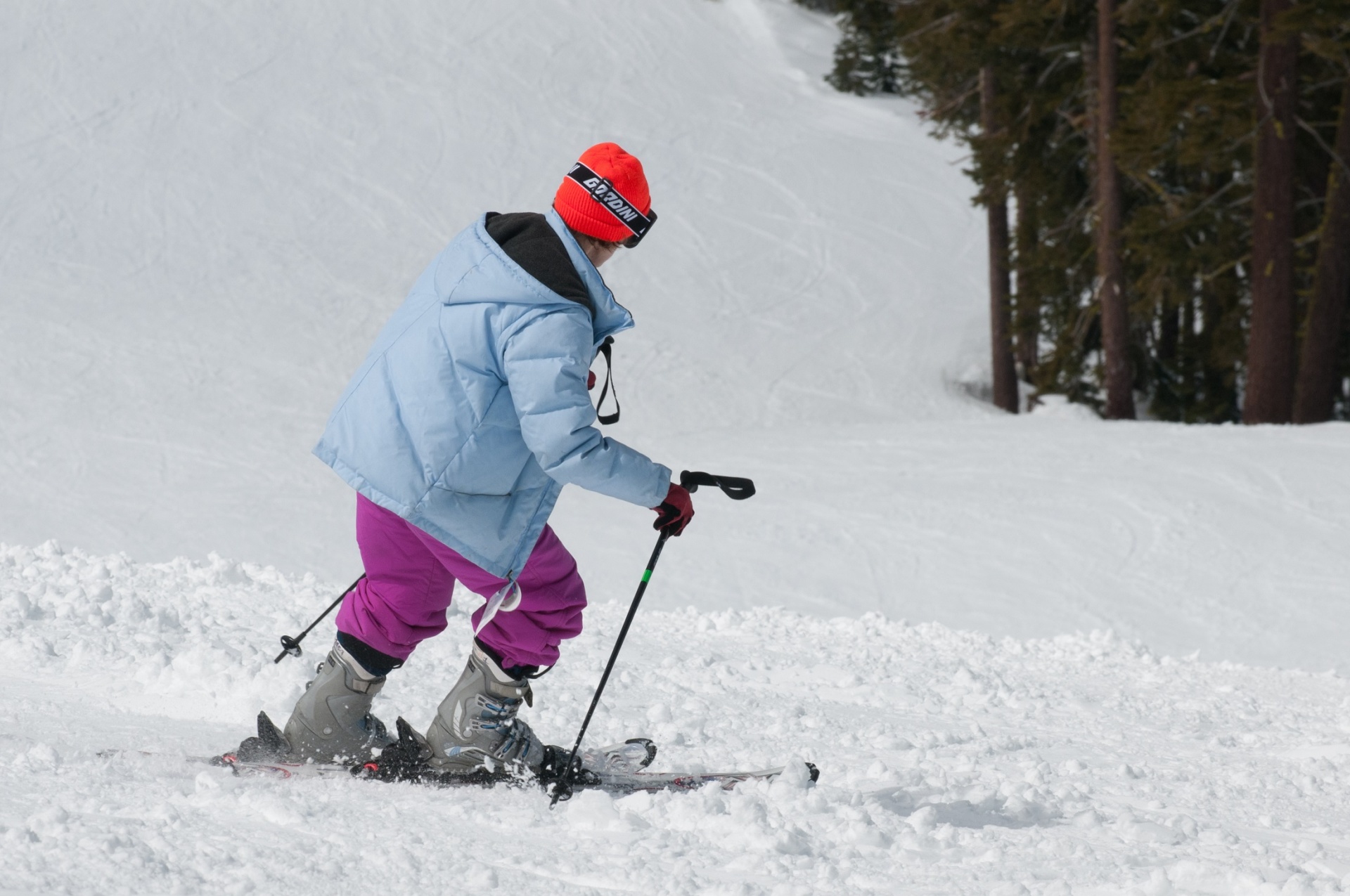 skier skiing downhill free photo