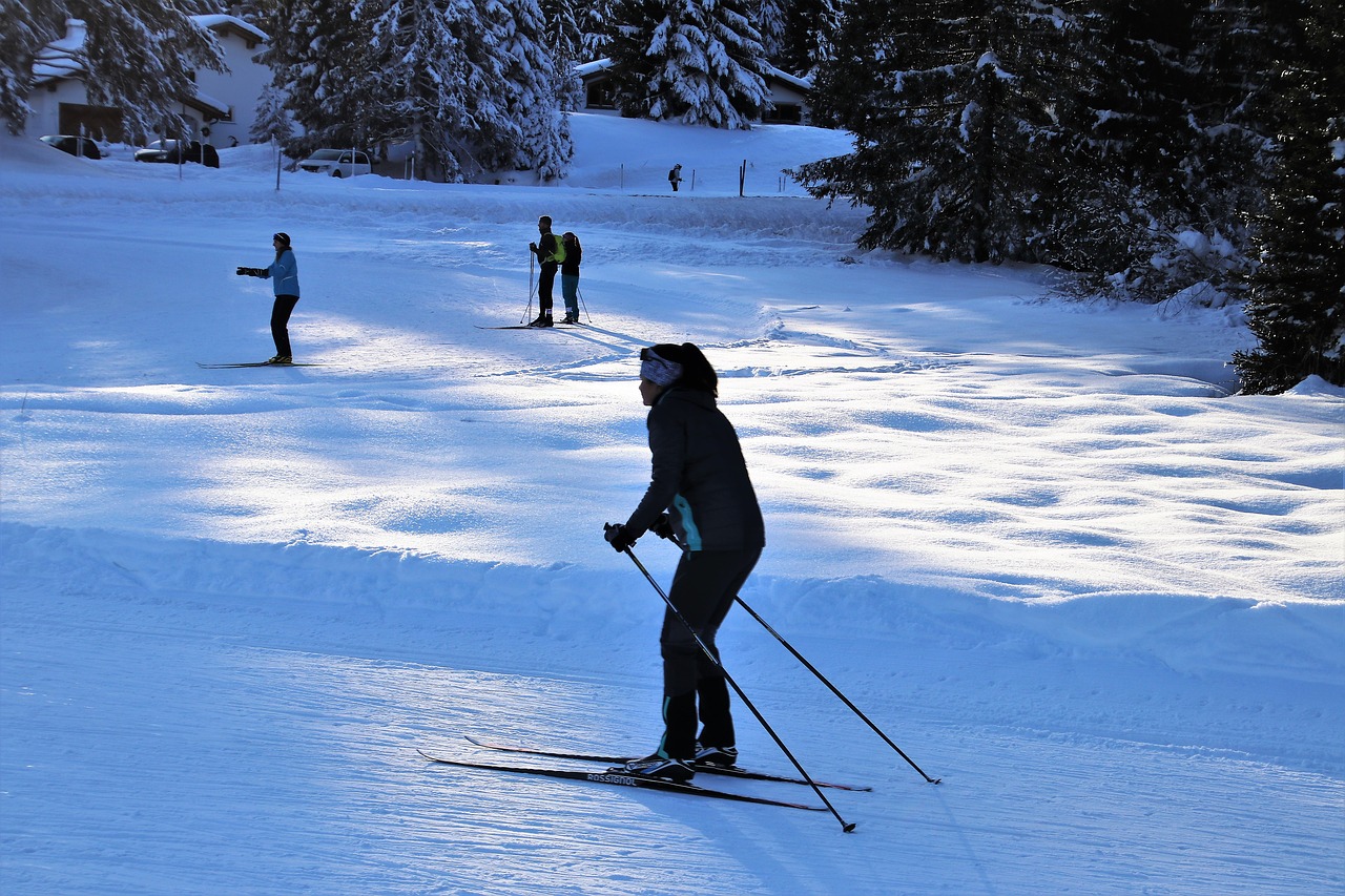 skiers  winter sports  snow free photo