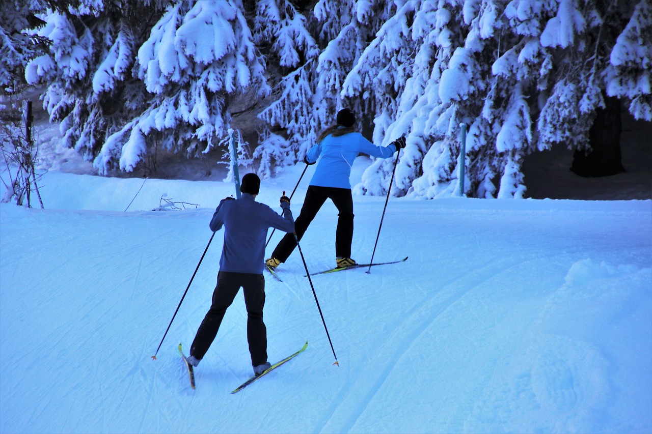 skiers  skis  snow free photo