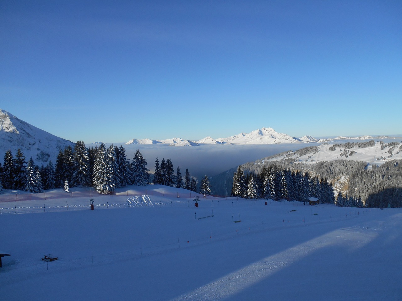 skiing piste winter free photo