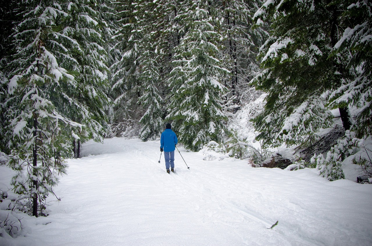 skiing cross country snow free photo