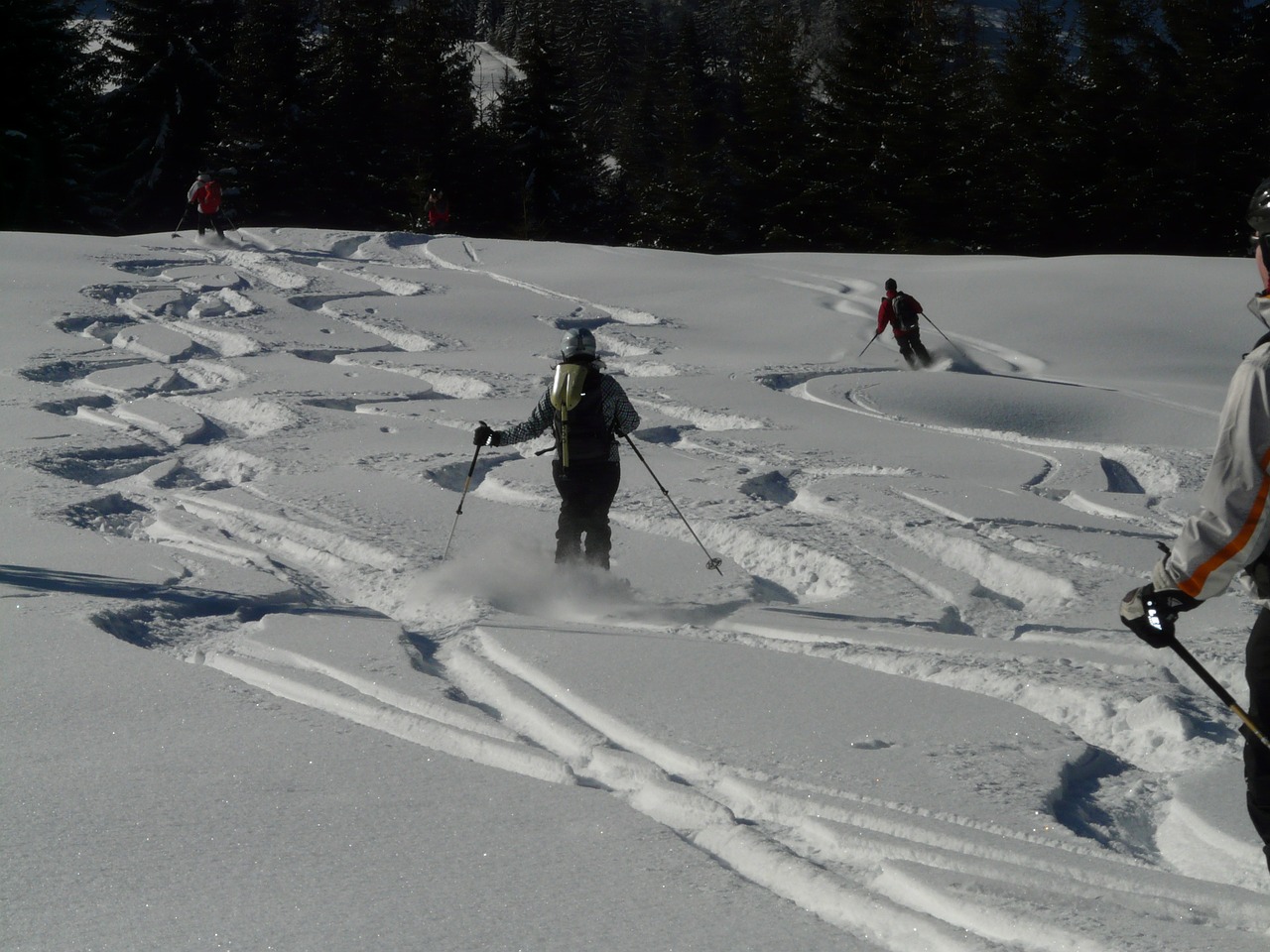 skiing skiers departure free photo