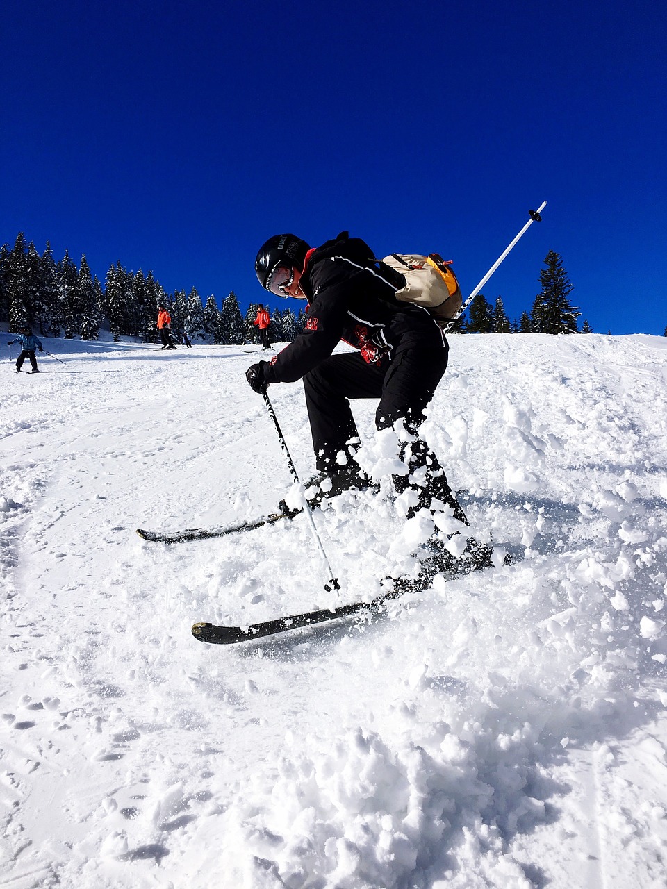 skiing winter snow free photo