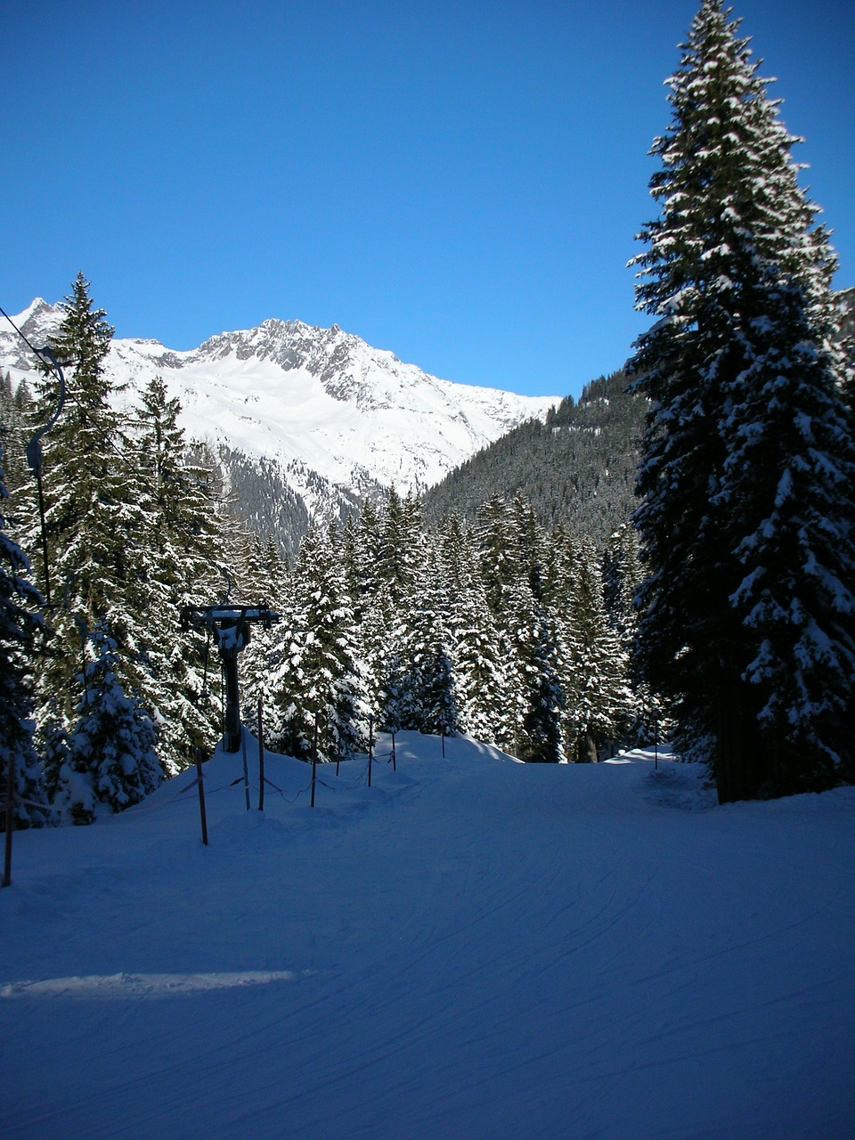 skiing backcountry skiiing winter sports free photo