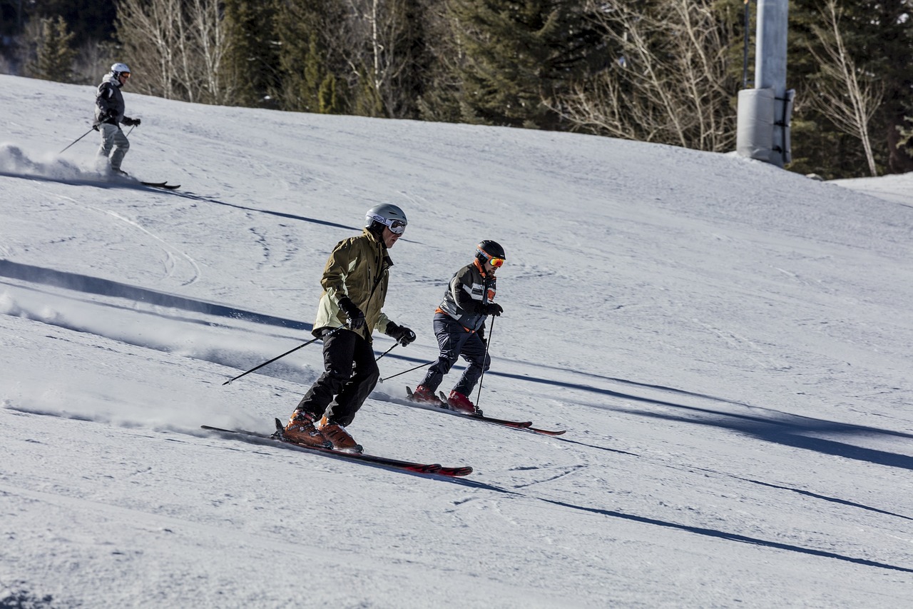 skiing  skiers  downhill free photo