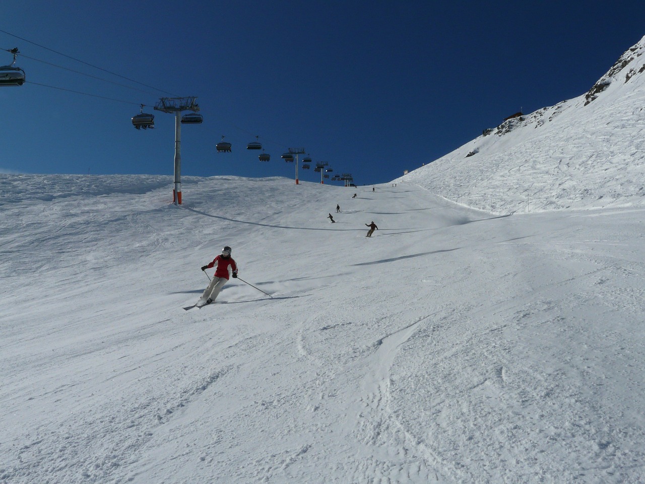 skiing skiers skier free photo