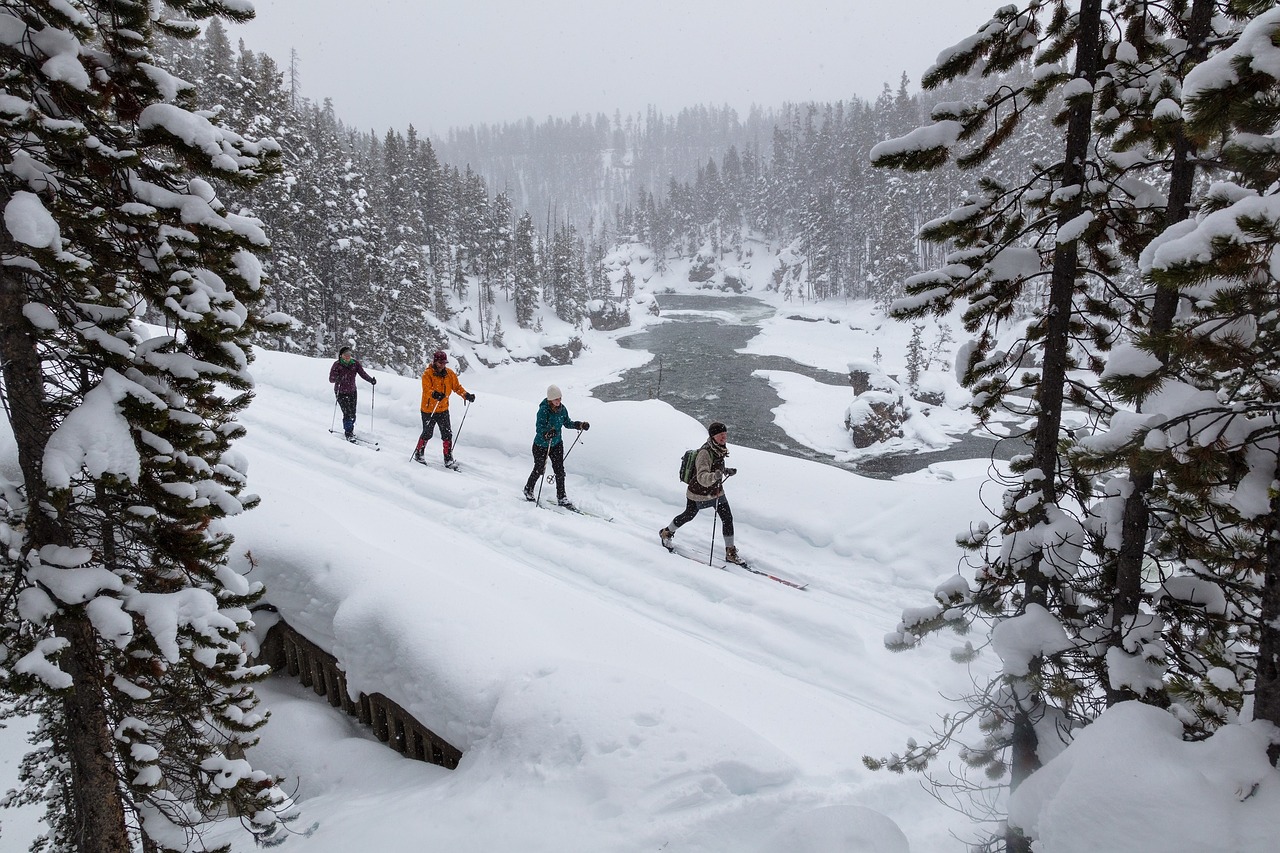 skiing  cross country  snow free photo