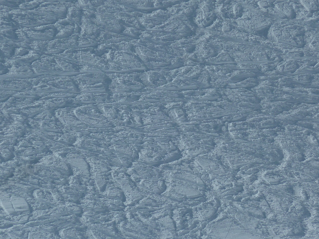 skiing snow traces free photo