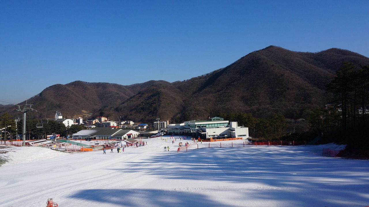 skiing sports alpine free photo