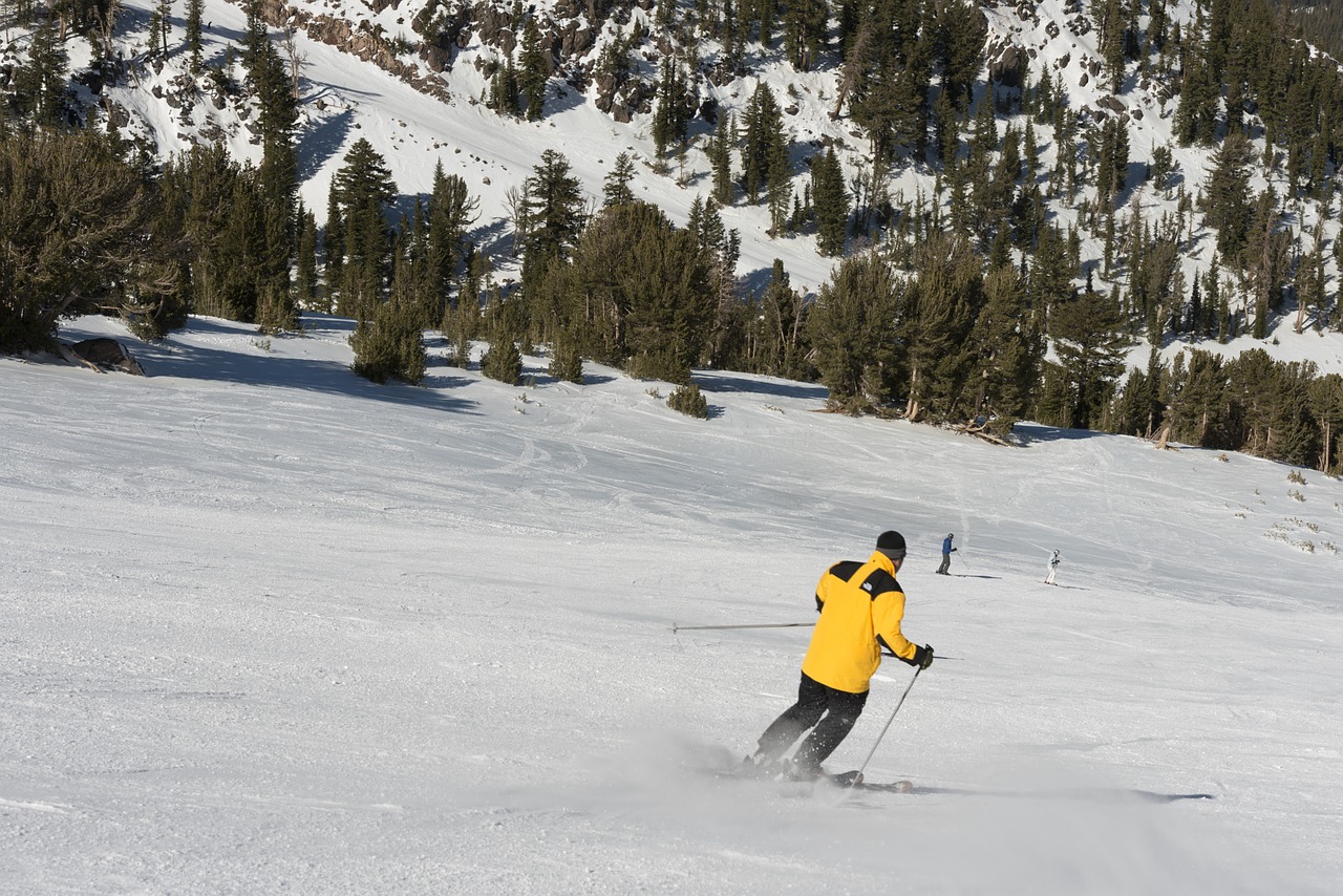 skiing skiers downhill free photo
